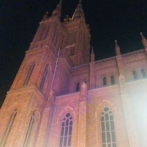 Meet your Posher, Ann